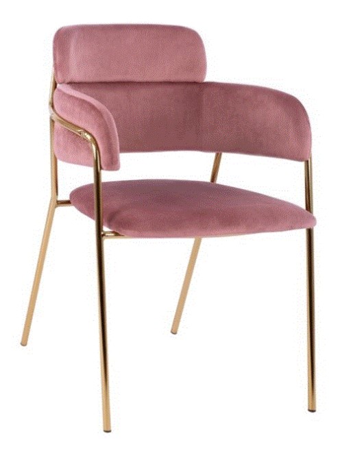 BB - CHAIR VELVET DUSTY PINK & GOLD PLATED LEGS 