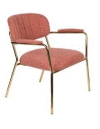 WH- LOUNGE CHAIR JOLIEN ARM GOLD/PINK