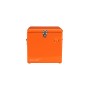 COOLER BE CUTE | Orange