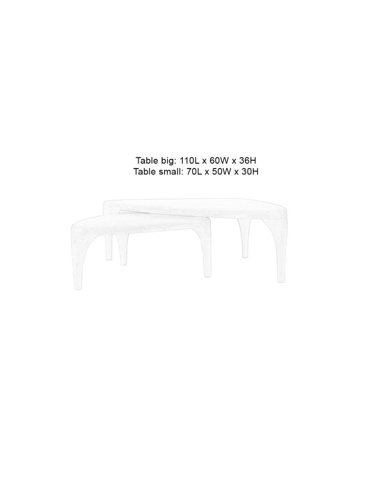 ISLA  Set of 2 Coffee Table | Natural