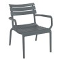 PARIS Lounge Chair | Dark Grey