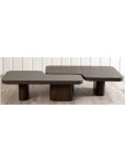TWIN SET OF 2 Coffee Table
