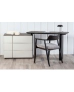 TWIN Desk