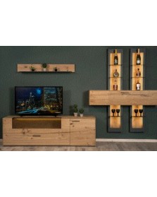 FREE TV Unit