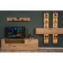 FREE TV Unit