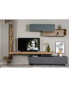 SENSE TV Unit