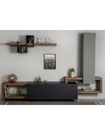 DESIRE TV Unit