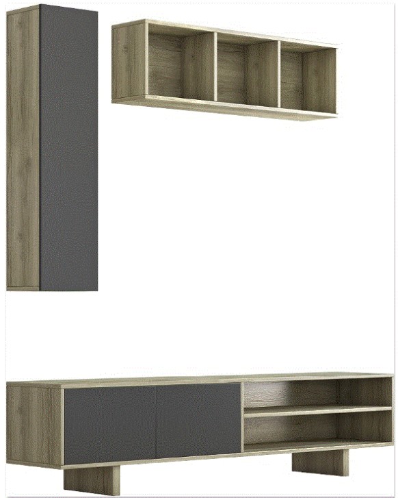 ECONOMY TV Unit
