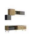 STONE TV Unit
