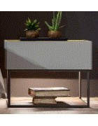 EASY Commode