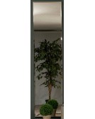 NEW FREE Mirror
