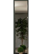 NEW FREE Mirror