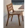  EMMA Chair |  Iroko