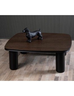 BLISS Coffee Table