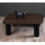 BLISS Coffee Table