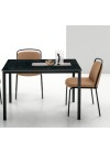 PELLICANO Dining Table 120x80cm | Top stoneware black storm with black metal frame